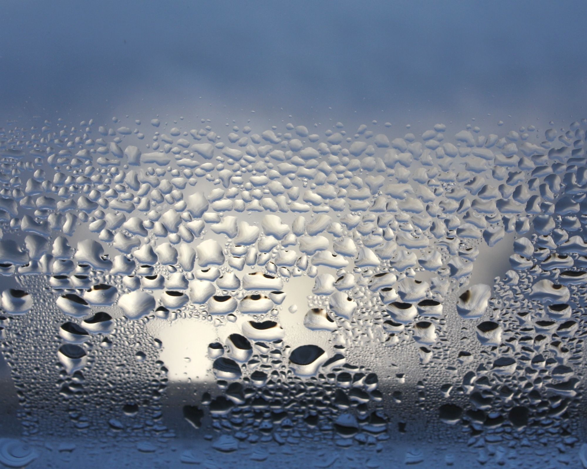 Expertise humidité Vosges 88 Expertise humidité Vosges 88